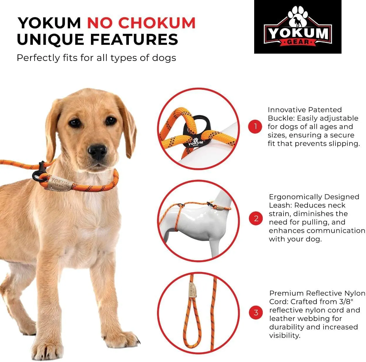 12ft No Pull No Choke Leash Long Rope Dog Leash, Anti Pulling Dog Leash, Dog Harness and Leash, Dog Leads for Walking, Double Hook & Escape Proof for All Breeds, Reflective Purple