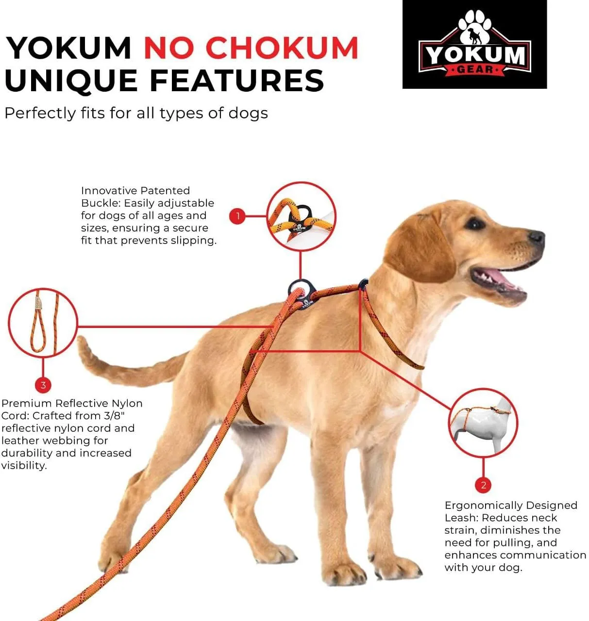 12ft No Pull No Choke Leash Long Rope Dog Leash, Anti Pulling Dog Leash, Dog Harness and Leash, Dog Leads for Walking, Double Hook & Escape Proof for All Breeds, Reflective Purple