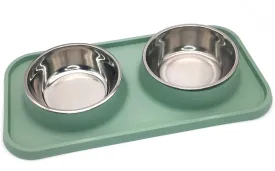 BNOSDM Double Dog Food Bowls Stainless Steel Dog Food and Water Bowls with Non-Spill Plastic Mat Pet Cat Feeder Bowl Set for Puppy Cats Kitten Small Medium Dogs Green