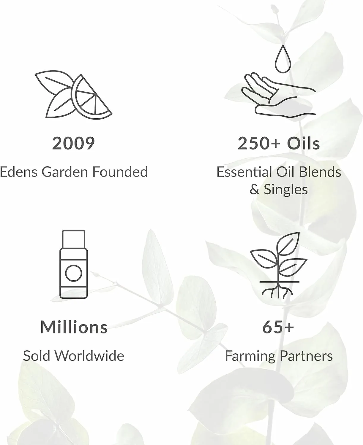 Edens Garden Sniffles & Sneezes Essential Oil Blend- 100% Pure Premium Grade, Undiluted, Natural, Therapeutic, Aromatherapy, The Best for Diffusing, Skin, Humidifiers, Kid Safe 10 ml (.33 fl oz)