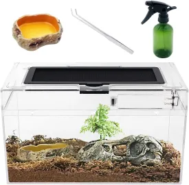 Mini Reptile Terrarium Set,12" x 7"x 6" Low Reptile Tank with Full View Visually Appealingfor InsectFishTarantulaHermit CrabJumping SpiderIguanaTortoiseLeopard GeckoFrogBearded Dragon
