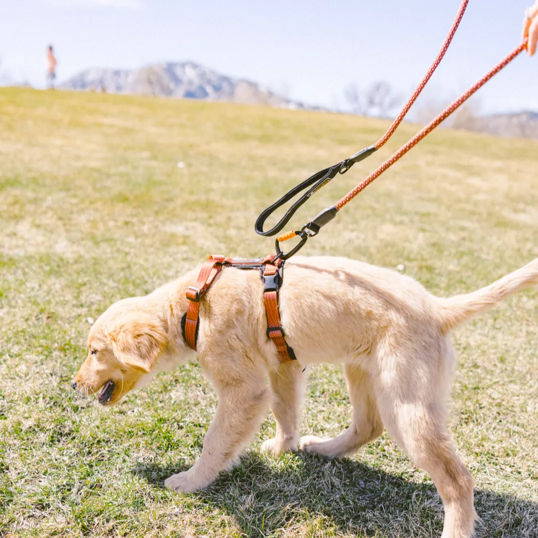 Mountain Leash | Rope Dog Leash