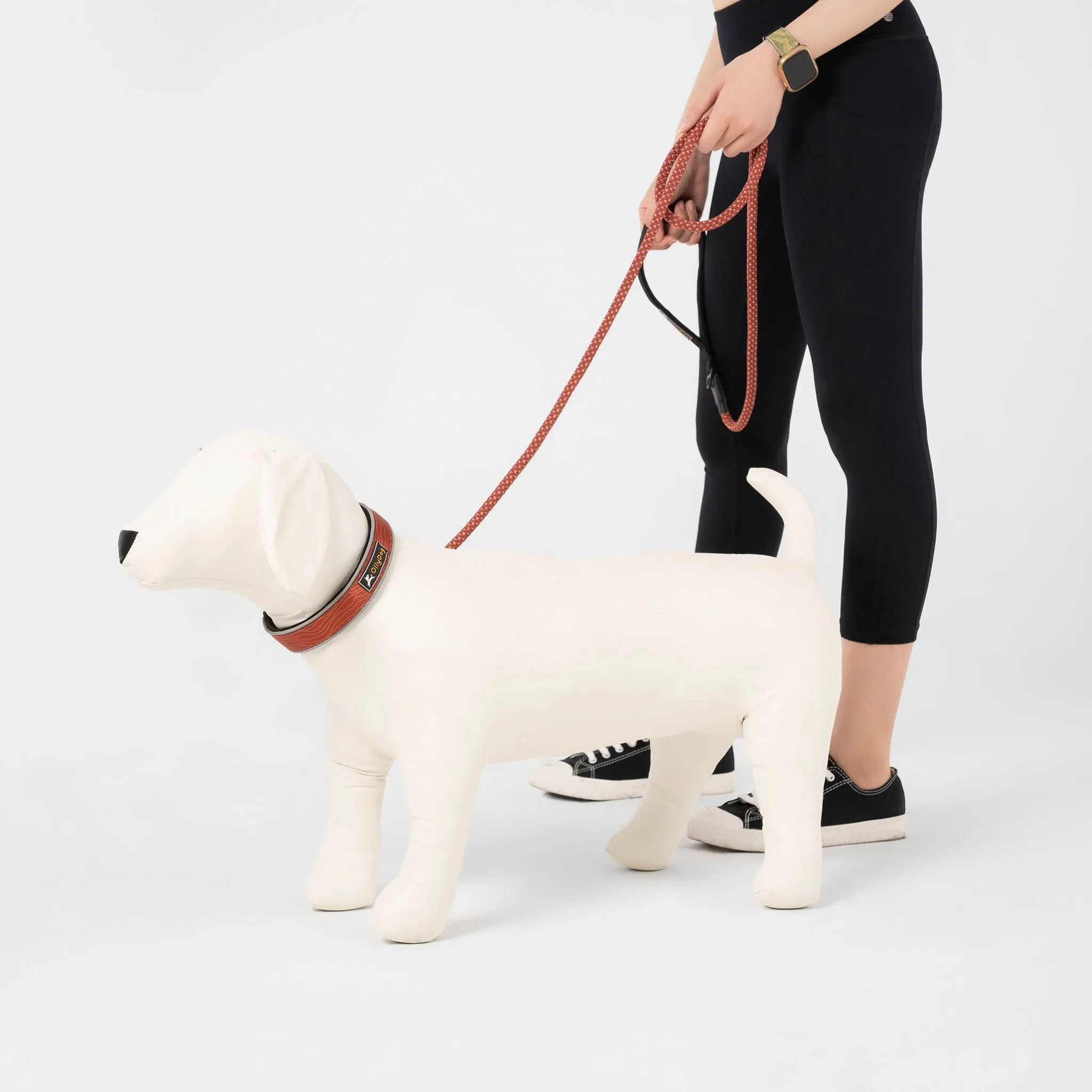 Mountain Leash | Rope Dog Leash