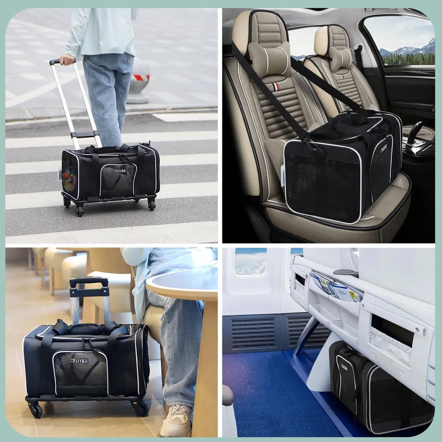 Petskd  18x11x10.5 Delta American United Airline , 1-12 ,()