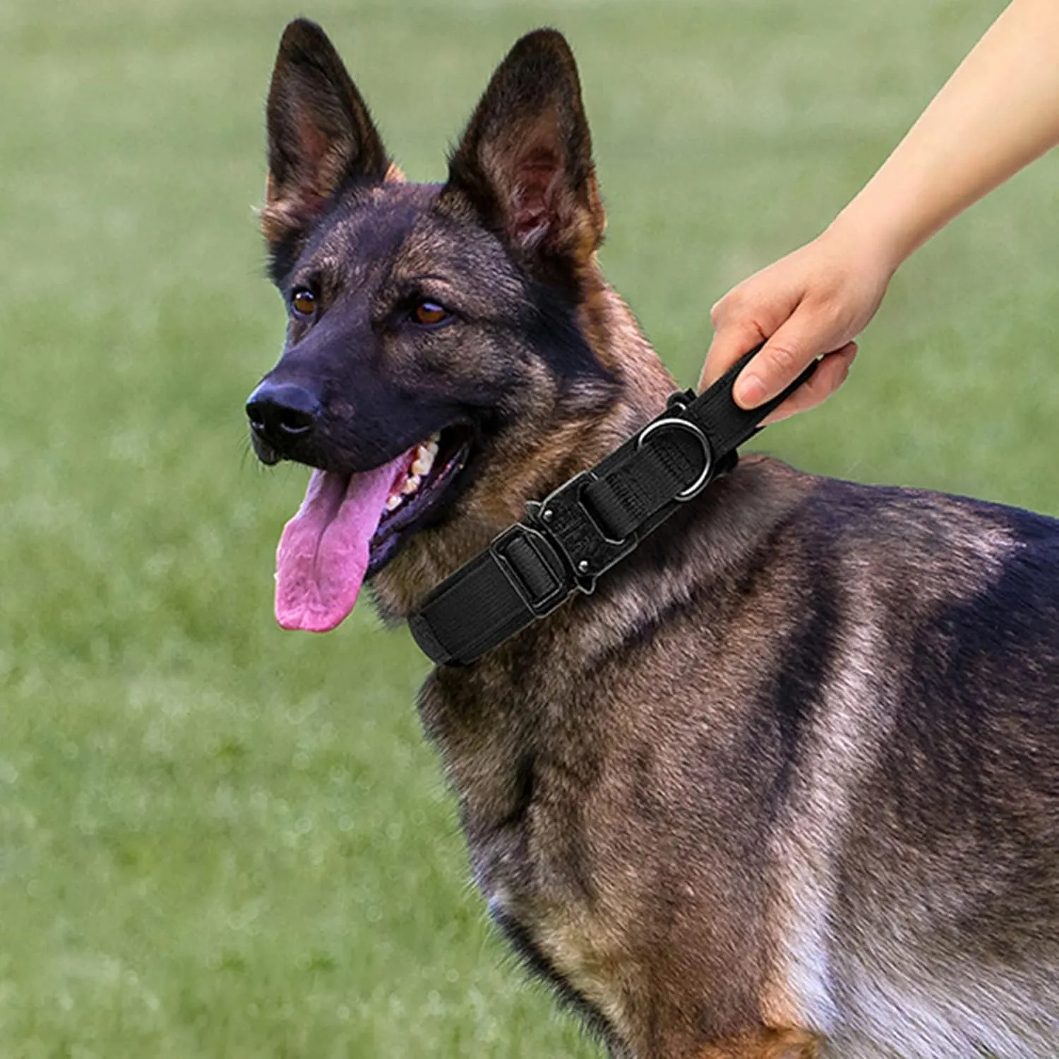 Tactical Dog Collar and Leash Set Adjustable Nylon Military Dog Collar with Control Handle Heavy Duty Metal Buckle and Bungee Leash for Dog Training (Medium, Black)