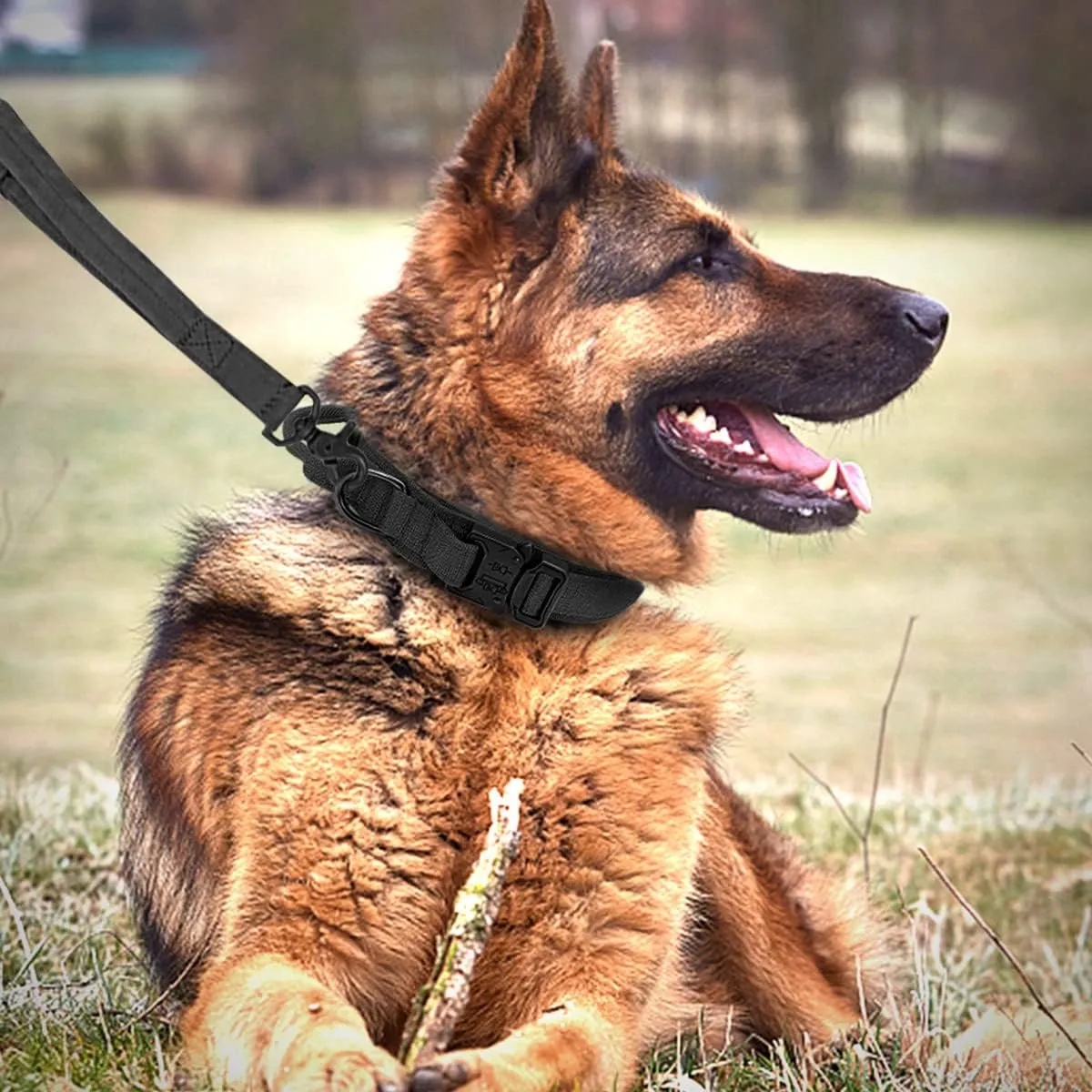 Tactical Dog Collar and Leash Set Adjustable Nylon Military Dog Collar with Control Handle Heavy Duty Metal Buckle and Bungee Leash for Dog Training (Medium, Black)